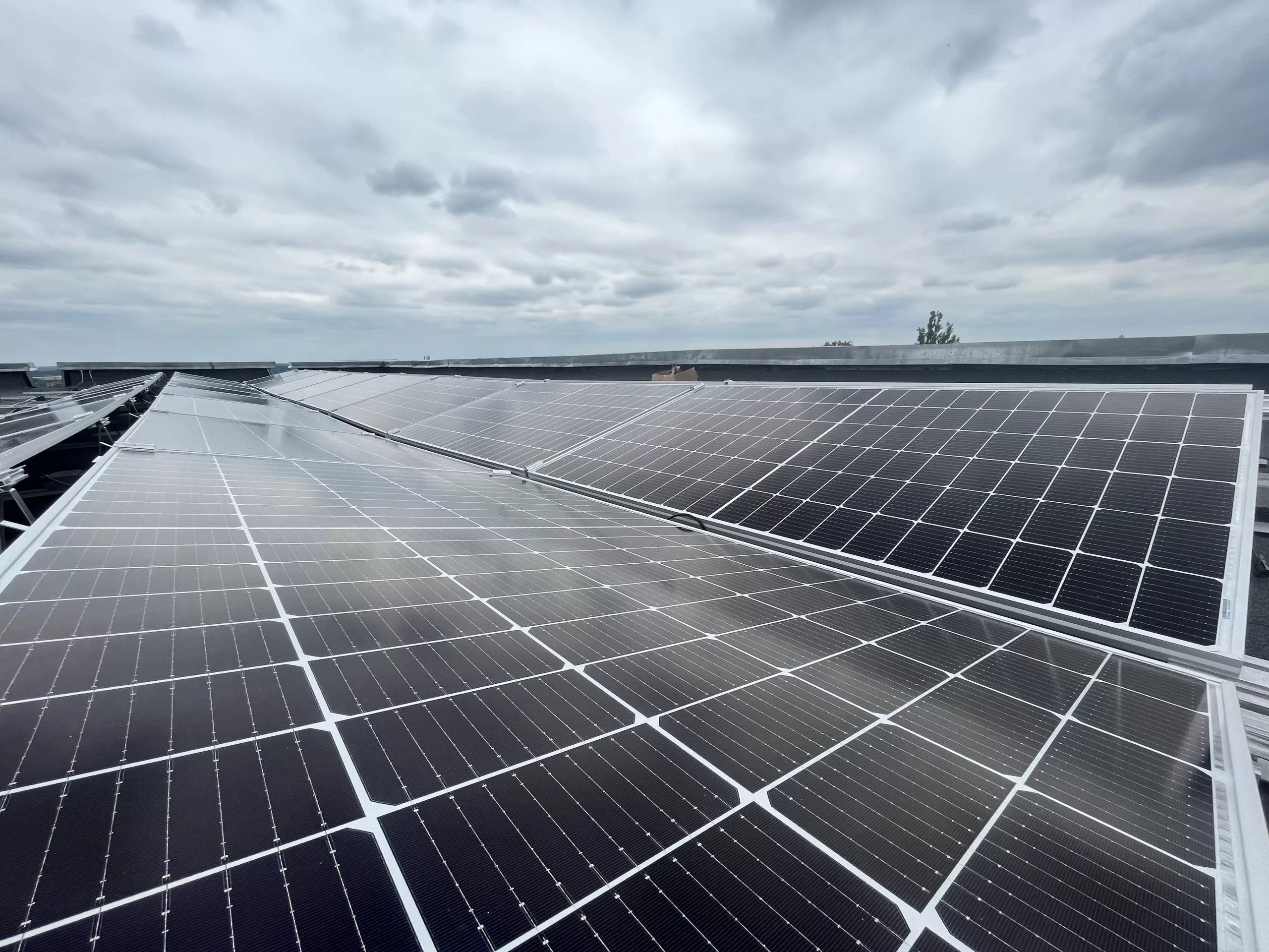 Energy for Life: Environmentalists Raise Funds for a Solar Power Plant for a Children’s Hospital in Zaporizhzhya